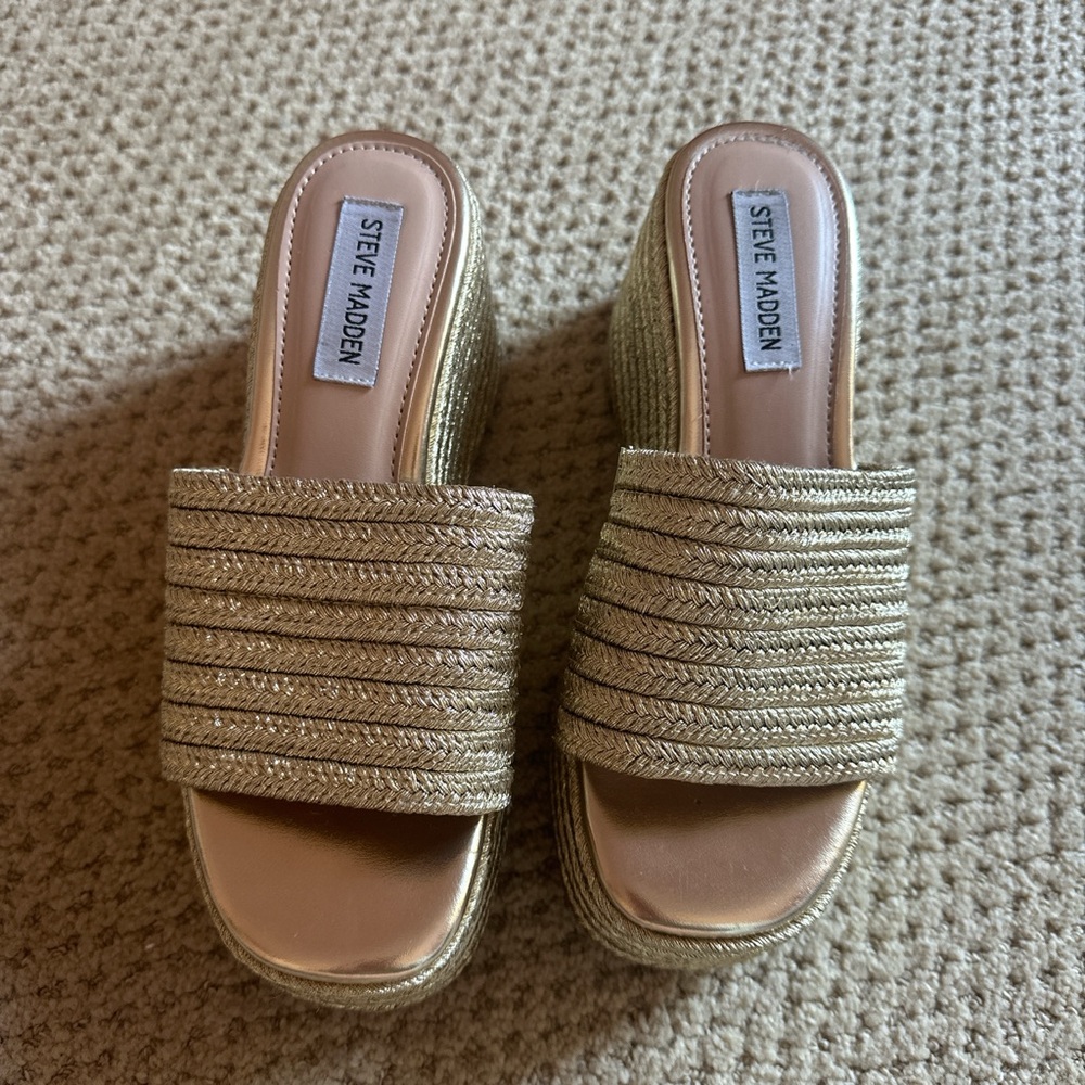 Steve Madden Realize Espadrille Platform Sandal